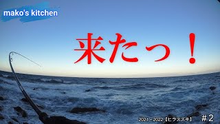 【釣り】【磯】【ヒラスズキ】2021～2022　＃2  きっと運を使い果たしただろうｷｬｧ♪(*ﾉ∀ﾉ)ヾ(≧▽≦)ﾉあははは！