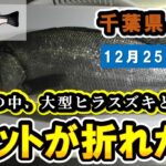 【千葉県 房総 地磯】ネットポールが折れた!! 大型ヒラスズキと格闘!! 磯ヒラ55cm釣れました!!