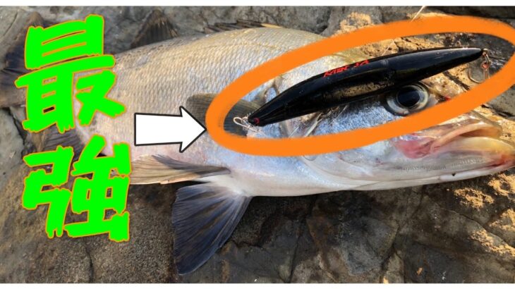 【ランカーヒラスズキを求めてIN房総26話（外房）（南房）（内房）】濁りにはこのルアー！名作最強ルアーはカラーから違う。
