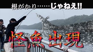 平穏な堤防に突如現れた怪魚　シーバスロッドがぶち曲がる