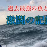 【だから釣りはやめられない】ヒラスズキ釣りに行ったら想定外の大物キター！