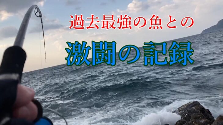 【だから釣りはやめられない】ヒラスズキ釣りに行ったら想定外の大物キター！