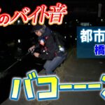 ビッグベイト で 都市河川 シーバス !