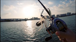 シーバス釣り　〜初場所にバスタックルで挑んでみた！編〜