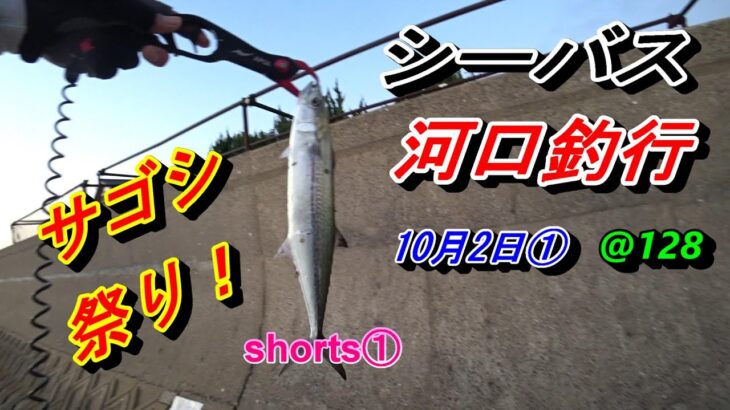 【シーバス 河口釣行 10月2日① @128 shorts①】#shorts