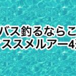 シーバス釣るならこれ！オススメルアー4選