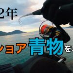 シーバスロッドにまさかの青物が掛かる⁉︎【ライトショアジギング】