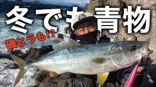 伊豆半島地磯ヒラスズキ釣行『サラシの中から…青物⁉︎』