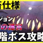 【ヘブバン】ダンジョン記憶の迷宮50階ボス攻略法！倒すためにしたことを紹介します！【ヘブンバーンズレッド】【heaven burns red】