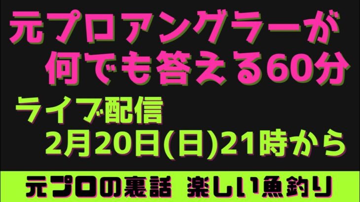 【ルアーシーバス】元プロアングラーが何でも答える60分！！シーバスルアー　シーバスロッド　リール　オススメ