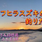 【湘南サーフ】サーフでヒラスズキ釣りたいんじゃ(痛風おじさん釣行記take89)