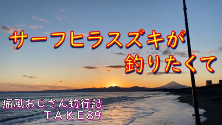 【湘南サーフ】サーフでヒラスズキ釣りたいんじゃ(痛風おじさん釣行記take89)