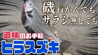 【ヒラスズキ】サラシ無しでも釣れる！！道路脇で手軽にヒラスズキ