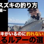 ヒラスズキの釣り方基礎編　釣れるルアーの選び方