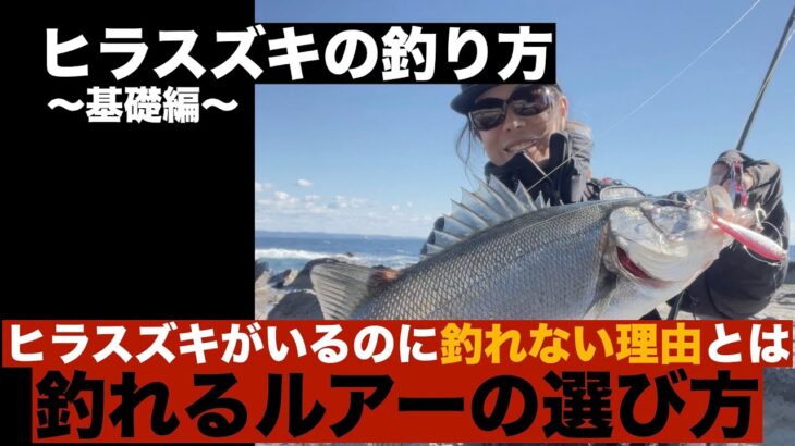 ヒラスズキの釣り方基礎編　釣れるルアーの選び方