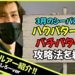 3月のシーバスの釣り〜２つのベイトパターンと攻略ルアー〜