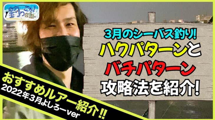 3月のシーバスの釣り〜２つのベイトパターンと攻略ルアー〜