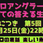 【ルアーシーバス】第5回！！元プロアングラーが何でも答える生配信！！シーバスルアー　シーバスロッド　リール　オススメ