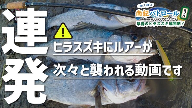 【Mr.Tが行く】早春のヒラスズキが水面割りまくりの連発劇【南紀パトロール】