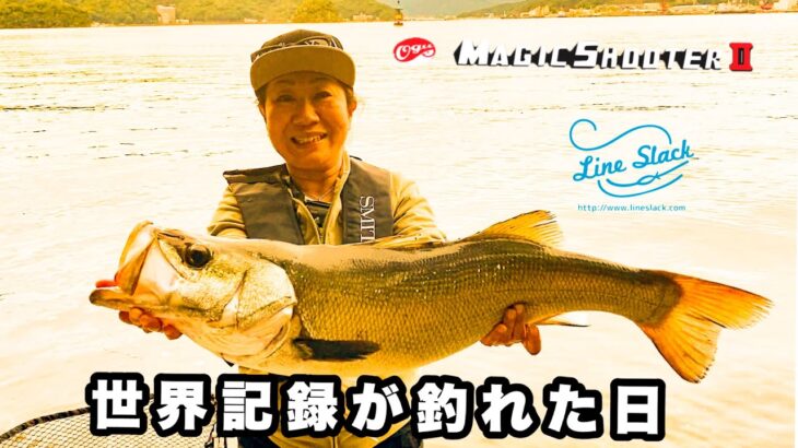 世界記録のヒラスズキが釣れた日 トップウォーター  World record fish Sea bass Black fin