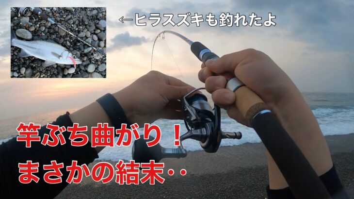 ヒラスズキを釣りに行ってまさかの大物がヒット！そしてまさかの結末ｗ【七里御浜】