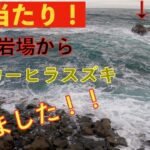 まさか初めてのランカーシーバスをヒラスズキで達成できるとは