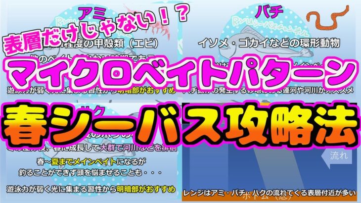 春シーバスの釣り方を解説。難解なマイクロベイトもコツさえ分かれば爆釣できるかも！？ポイント選び、釣り方、おすすめルアーも紹介。