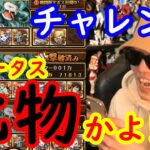 [トレクル]化物すぎw発狂しながらチャレンジに突っ込む[海賊祭シングル/サンダーソニア追加][OPTC]