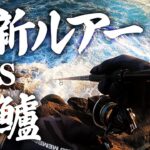 千葉の2月に地磯でヒラスズキ実釣＆最新ルアーを投入!!足元をとにかく意識して攻めてみた結果