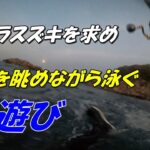 2022春磯のヒラスズキを求めて～スイムスタイル～　넙치농어