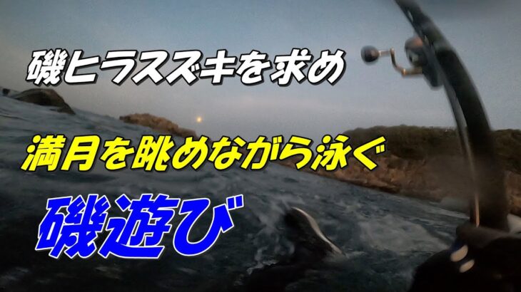 2022春磯のヒラスズキを求めて～スイムスタイル～　넙치농어