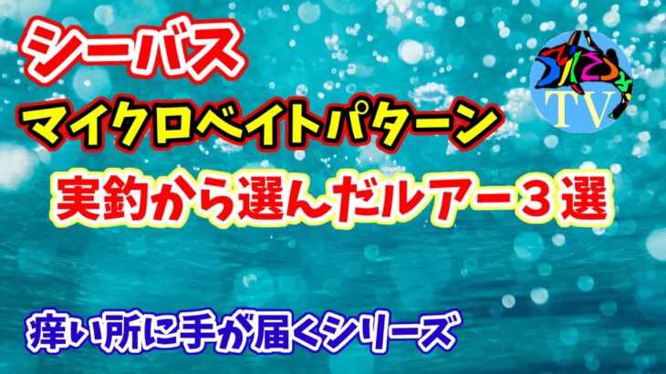 【シーバス】2022年マイクロベイトパターンでの実績ルアー紹介　初心者から中級者