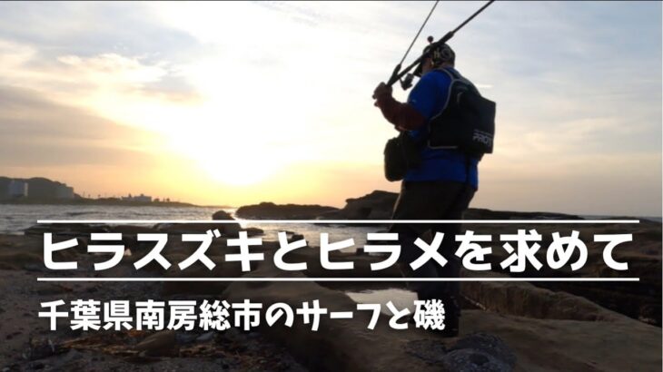 【2022年ゴールデンウィーク】ヒラスズキとヒラメを追って南房総をランガン　千葉県南房総市のサーフ・漁港・地磯　2022年4月23日