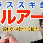 シブくて釣れない時に使いたいヒラスズキルアーおすすめ5選！