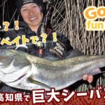 ホームの高知県で巨大シーバスを追う！【GO!GO! fun fishing Vol.2】