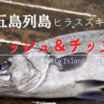 高級魚ヒラスズキで絶品のフィッシュアンドチップスを作ってみました｜五島列島｜福江島｜How to make fish & chips by using Goto Islands’ fish.