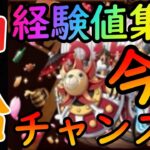 [トレクル]神船来た! これぞ周年!!!「還元祭に向け」今こそ海賊Lvを上げまくる時!!!!!![OPTC]