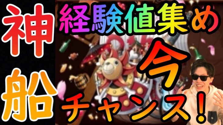 [トレクル]神船来た! これぞ周年!!!「還元祭に向け」今こそ海賊Lvを上げまくる時!!!!!![OPTC]