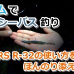 ワームでシーバス釣り ～MARS R-32の使い方をほんのり添えて～【ハクパターン】【2022年4月8日】