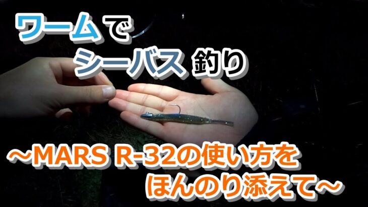 ワームでシーバス釣り ～MARS R-32の使い方をほんのり添えて～【ハクパターン】【2022年4月8日】