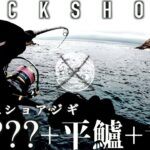 台風波の中ヒラスズキとカンパチを狙うとまさかの○T【TW#2】Fishing blackfin seabass in cyclone wave