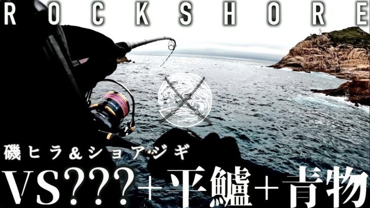 台風波の中ヒラスズキとカンパチを狙うとまさかの○T【TW#2】Fishing blackfin seabass in cyclone wave