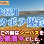 【熊本緑川の釣り】シーバス狙いだったけどVJ-16とハウルでデカボラが爆釣しました！　Mullet fishing in Kumamoto Midori River