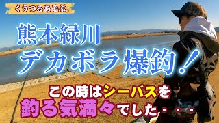 【熊本緑川の釣り】シーバス狙いだったけどVJ-16とハウルでデカボラが爆釣しました！　Mullet fishing in Kumamoto Midori River