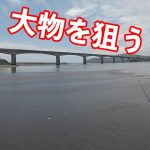 ルアーで身近な大物を狙う！（シーバス）（バス）釣り