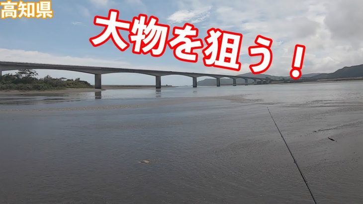 ルアーで身近な大物を狙う！（シーバス）（バス）釣り