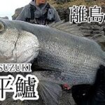 【離島遠征ヒラスズキ】再びあの島へ渡って、貸し切り状態の磯で思うがままに投げ倒す。#ヒラスズキ　#離島遠征　＃ロックショア