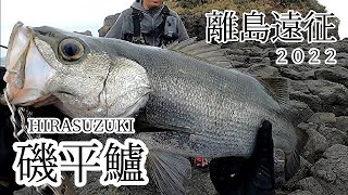 【離島遠征ヒラスズキ】再びあの島へ渡って、貸し切り状態の磯で思うがままに投げ倒す。#ヒラスズキ　#離島遠征　＃ロックショア