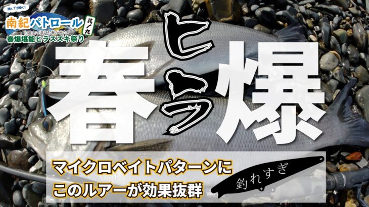 【春爆】マイクロベイトパターン攻略の切り札ルアーでヒラスズキが入れ食いに【南紀パトロール】