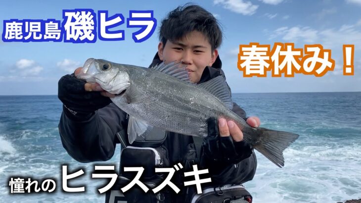 友人、初めての磯ヒラ密着！　鹿児島釣り　ヒラスズキ